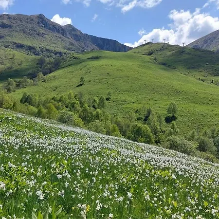 Casa Nido Colletto * Case Arfel