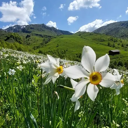 شقة Casa Nido Colletto *