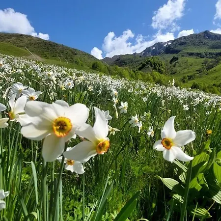 Casa Nido Colletto شقة Case Arfel