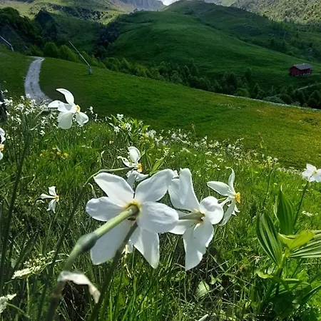 Casa Nido Colletto Apartment